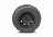 Corvus Terrain EX4 Spare Wheel