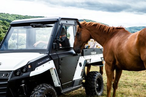 Corvus Terrain EX4 Electric UTV